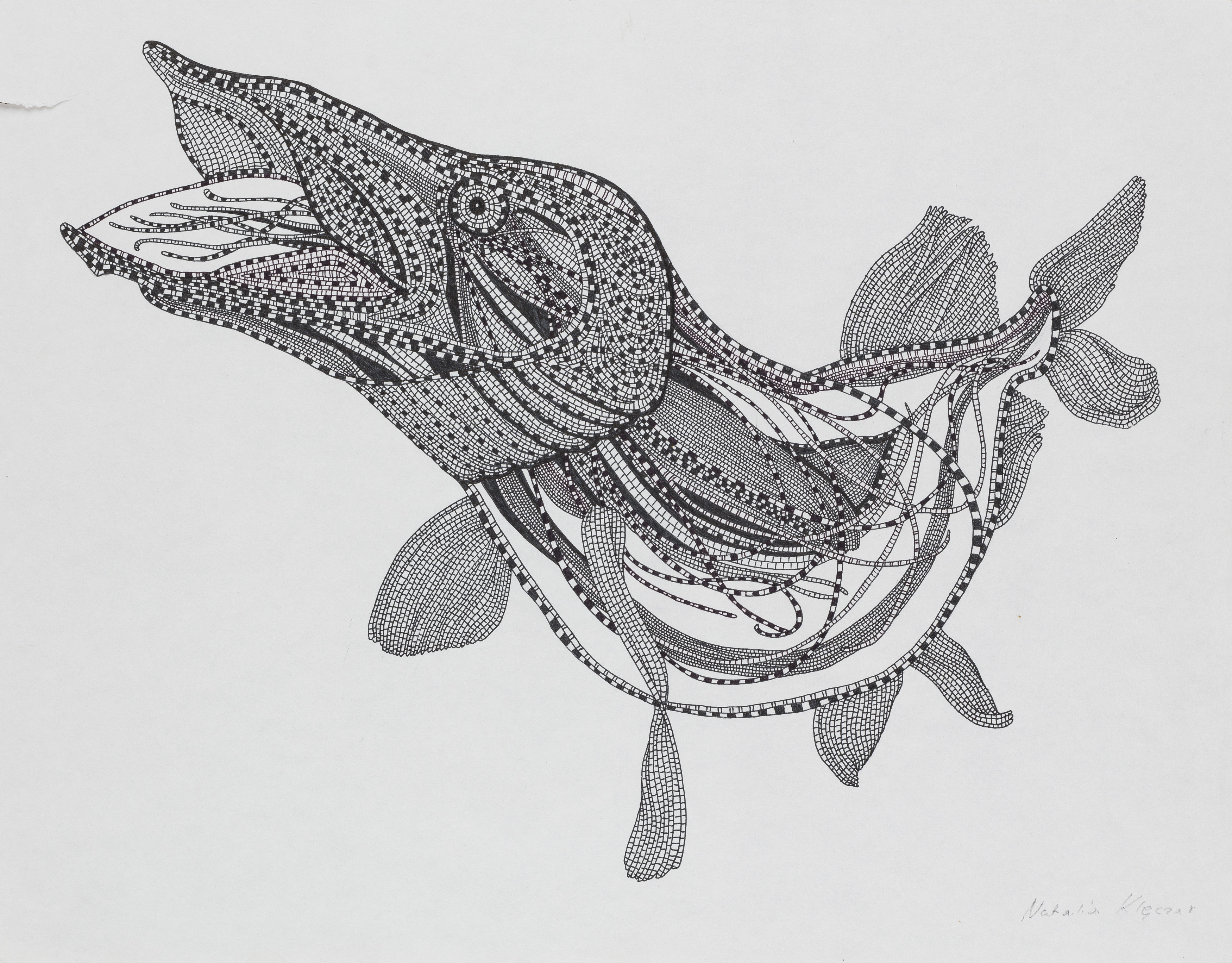 Untitled from the cycle Fish illustrations